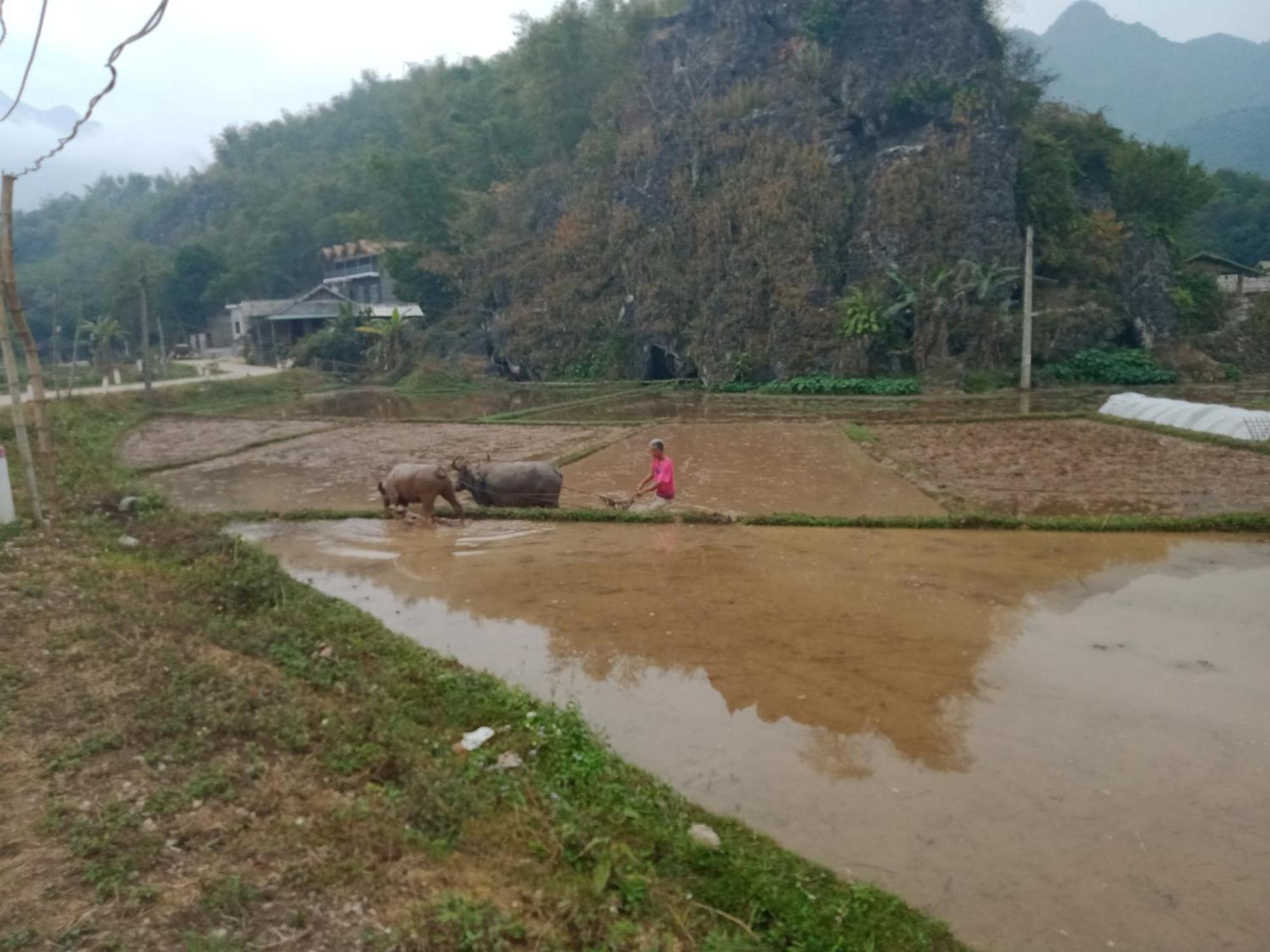Truong Huy Homestay Майтяу Екстер'єр фото